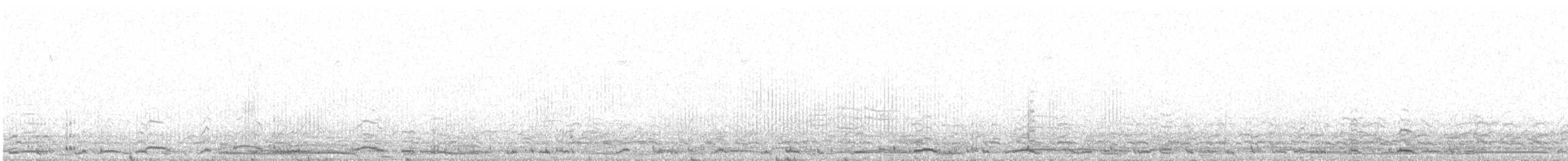 Cygne siffleur - ML613245979