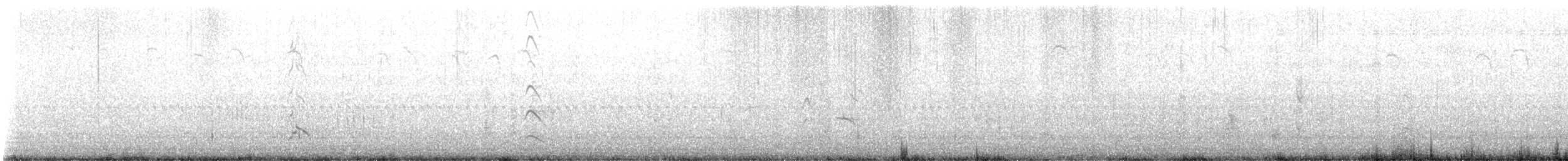 Бонапартова чайка - ML613249794
