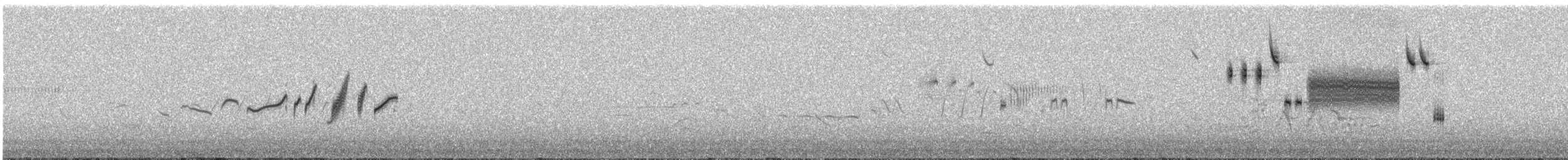 Plectrophane de Smith - ML613251630
