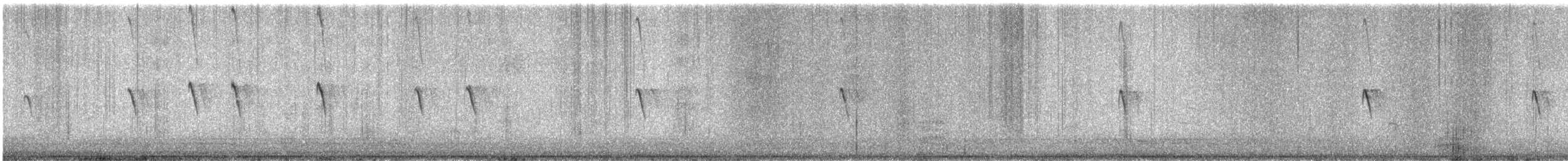 Black Phoebe - ML613255668