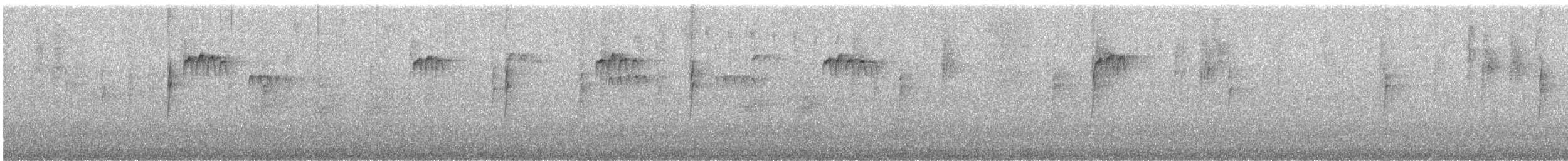 Buztanluze amerikarra - ML613255913