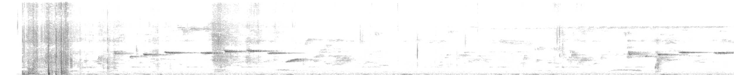 Белобровая веерохвостка - ML613257407