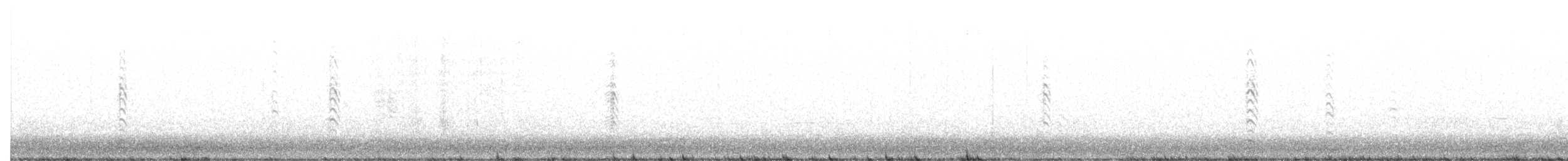 Малая канадская казарка (minima) - ML613258066