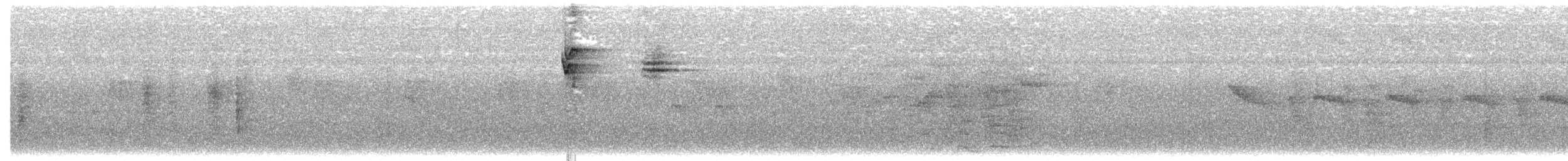 Зернолуск великий - ML613262841