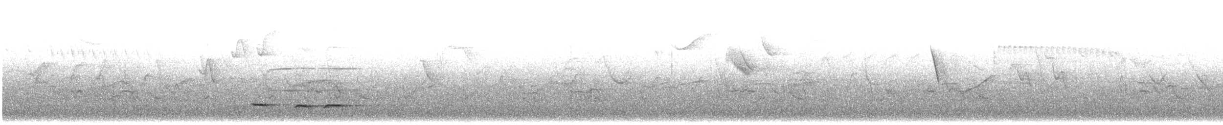 Grallaire châtaine - ML613263517