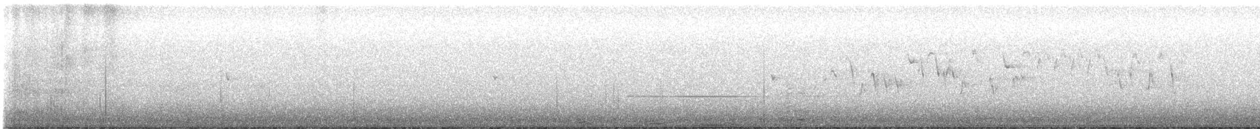 Troglodyte de Baird - ML613273629