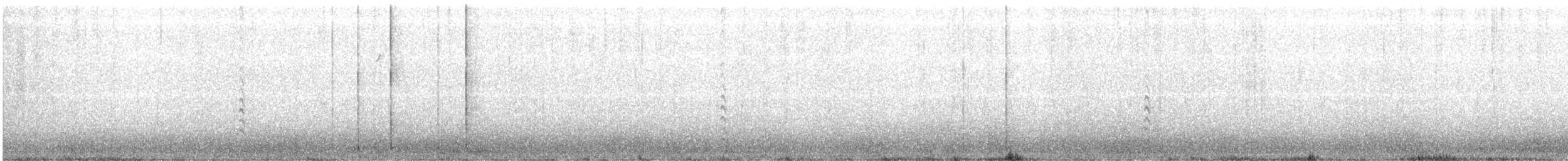Weißbrustkleiber - ML613274544