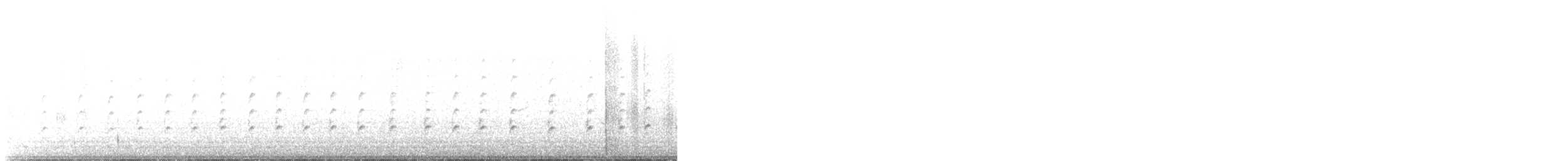 svartkronestylteløper - ML613276475