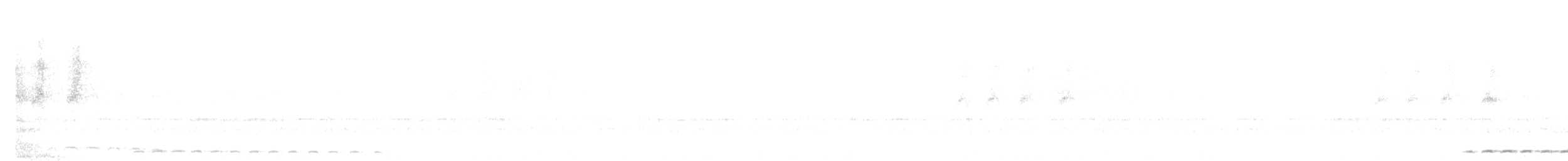Сплюшка білогорла - ML613277115