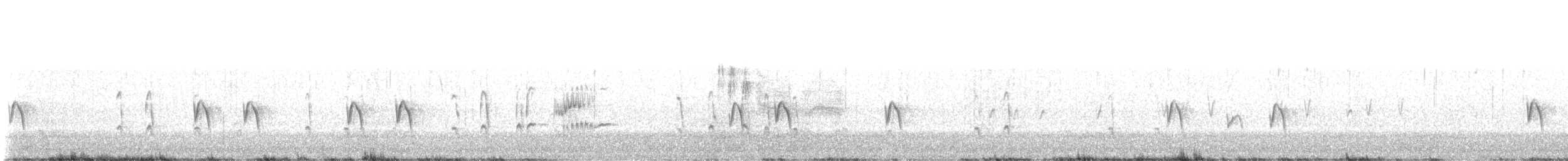 Crociere comune - ML613287174