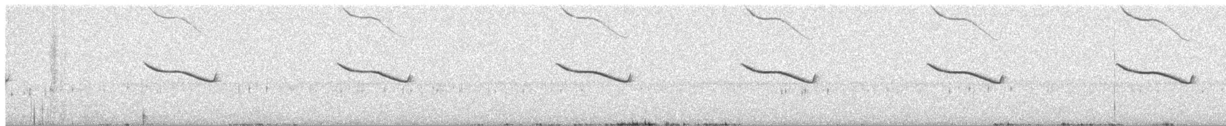 Breitspiegel-Nachtschwalbe - ML613292684