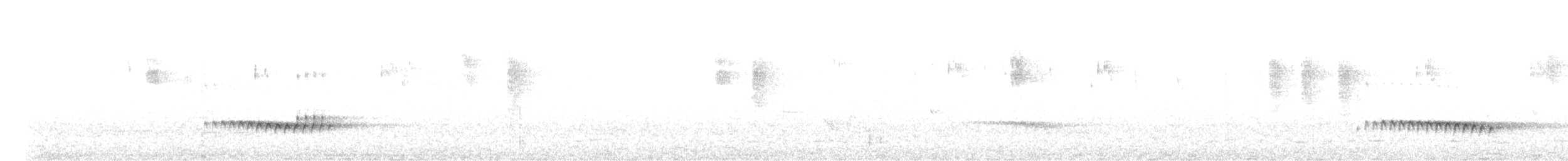 Веерохвостая кукушка - ML613296160