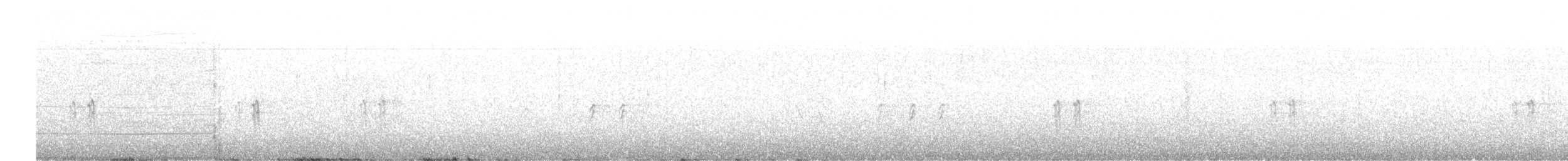 křivka bělokřídlá - ML613296558