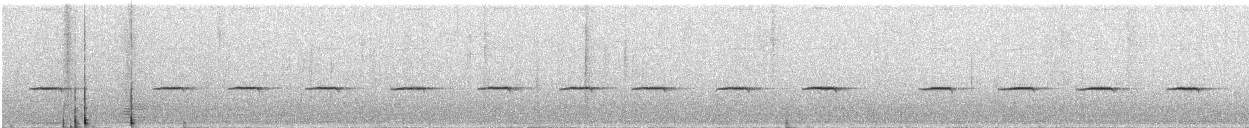 White-bellied Sholakili - ML613300183