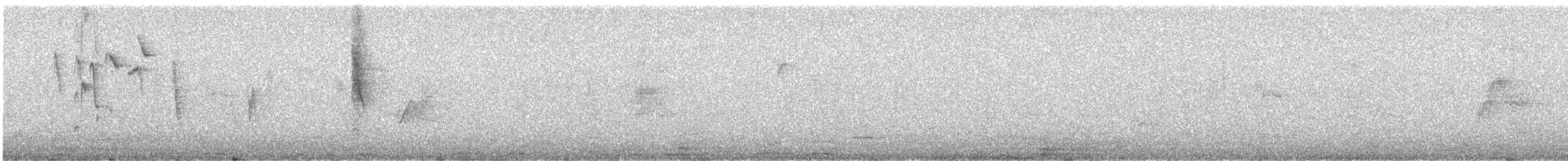 Güneyli Çift Kuşaklı Nektarkuşu - ML613303559