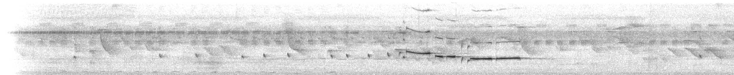 Віялохвістка північна (підвид cinerea) - ML613305105