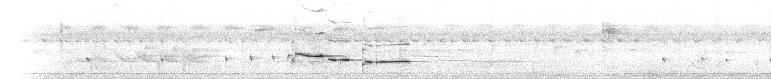 Рыжебрюхая веерохвостка (cinerea) - ML613305106