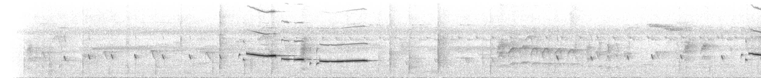 Rhipidure à ventre chamois (cinerea) - ML613305109