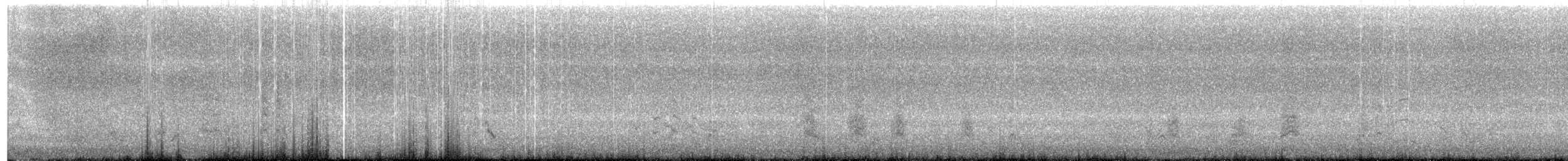 ボナパルトカモメ - ML613305249