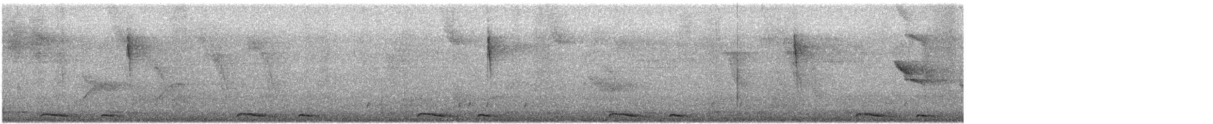 holoubek mexický - ML613306604