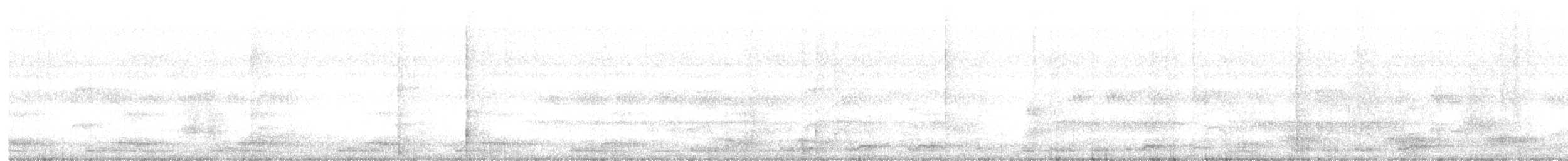 White-breasted Waterhen - ML613307531