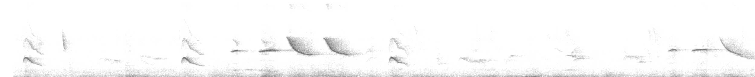 White-crested Elaenia - ML613309573