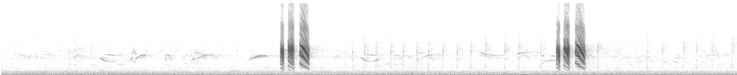 Патагонский курен - ML613310972