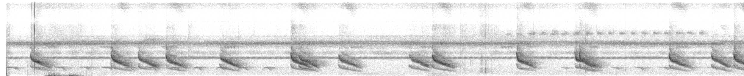 Troglodyte coraya - ML613314236