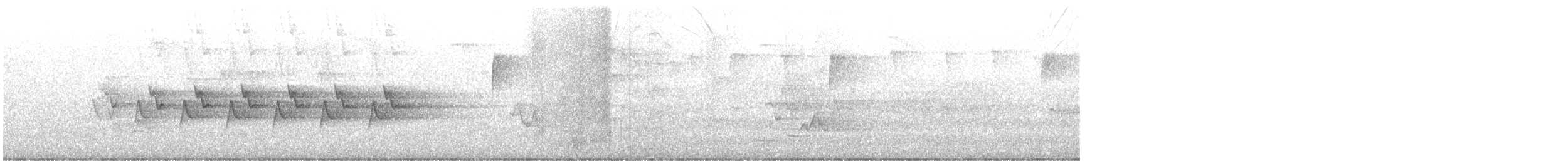 メガネアメリカムシクイ - ML613314327