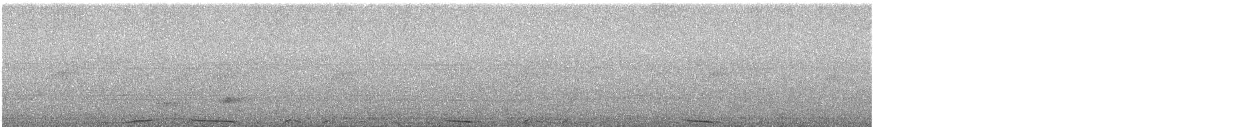 holub neotropický - ML613314562