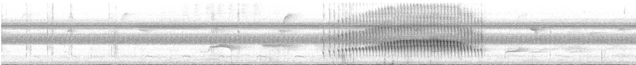Microxénops à queue rousse - ML613321526