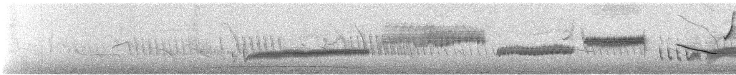 Cataménie terne - ML613322767