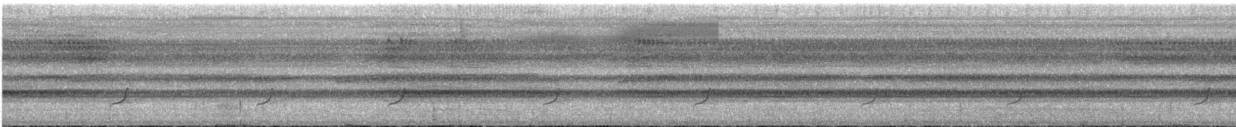 amazontyrannulett - ML613323146
