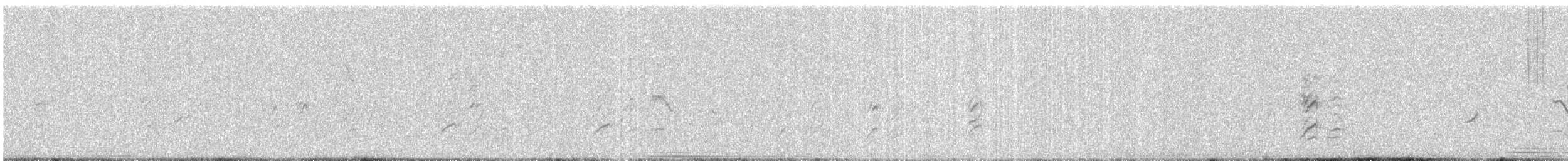 Large Gray Babbler - ML613329049