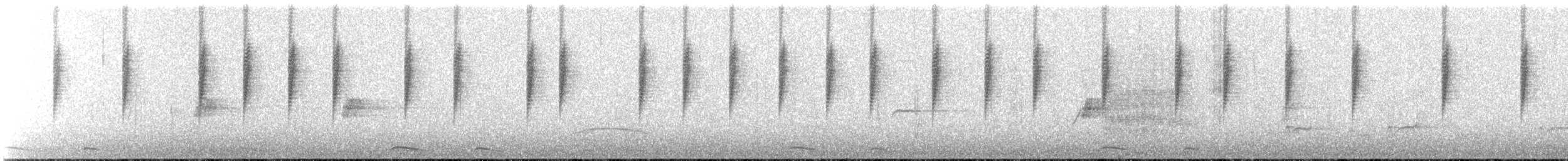 Dusky Hummingbird - ML613330079