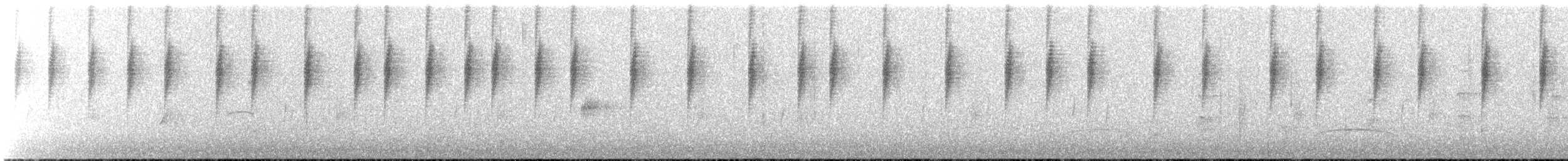 Dusky Hummingbird - ML613330081