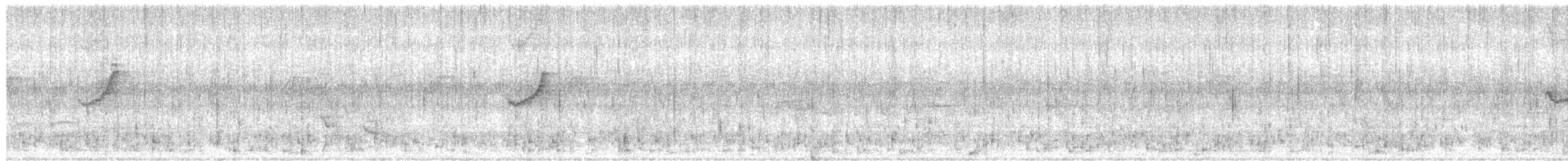 Тонкоклювая пеночка - ML613331863