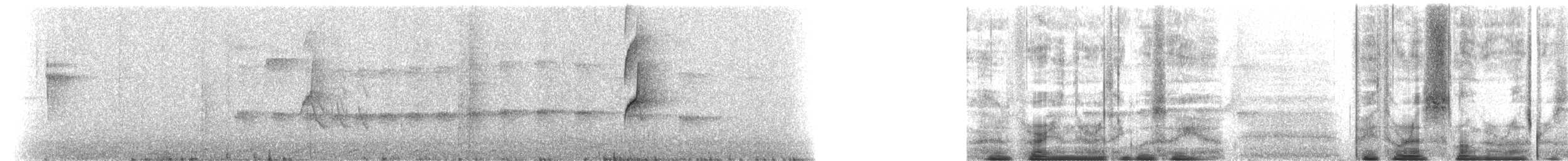 Длинноклювый колибри-отшельник - ML613332204