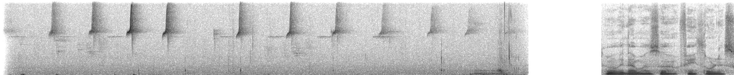 Серогорлый колибри-отшельник (porcullae) - ML613332207