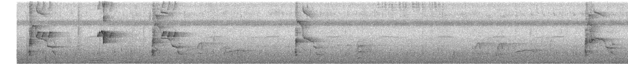 Groove-billed Ani - ML613332771