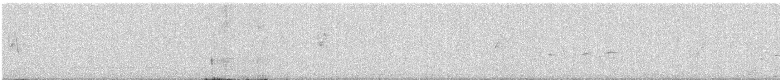 Белогорлая веерохвостка - ML613333435