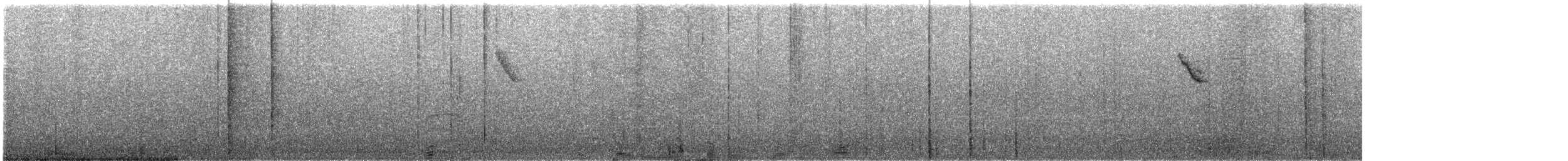 Веерохвостая корольковка - ML613335205