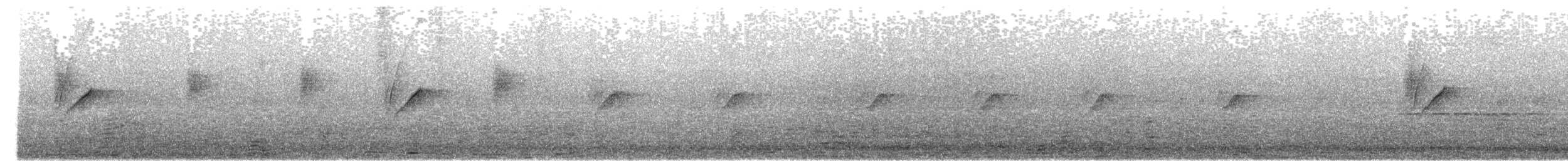 Атласная нектарница - ML613335708