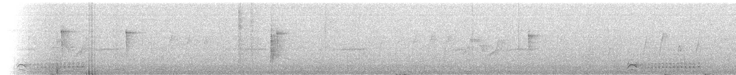 svartnakkemaurvarsler - ML613336005