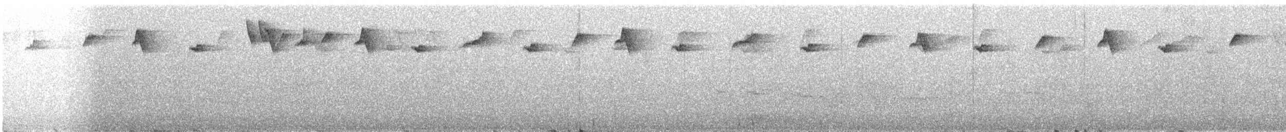 Серогорлый колибри-отшельник (porcullae) - ML613336032