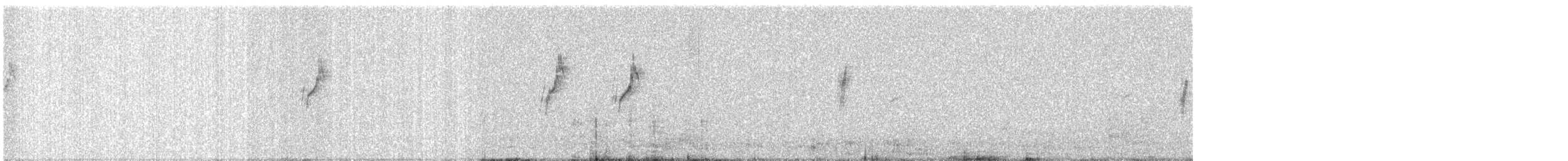 Атласная нектарница - ML613337986