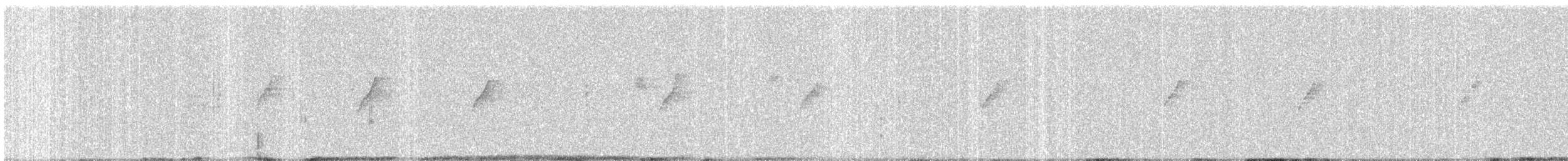 Атласная нектарница - ML613338005
