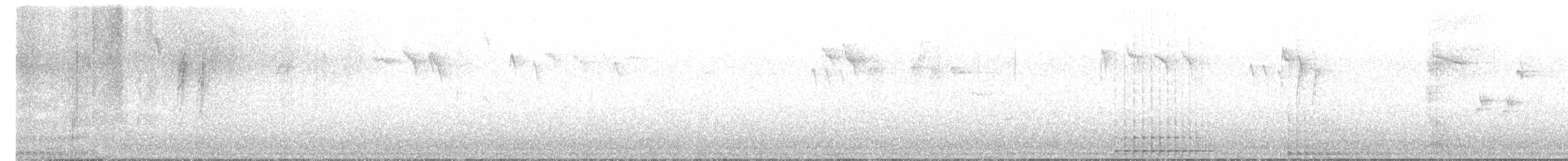 Great Spotted Woodpecker - ML613340317