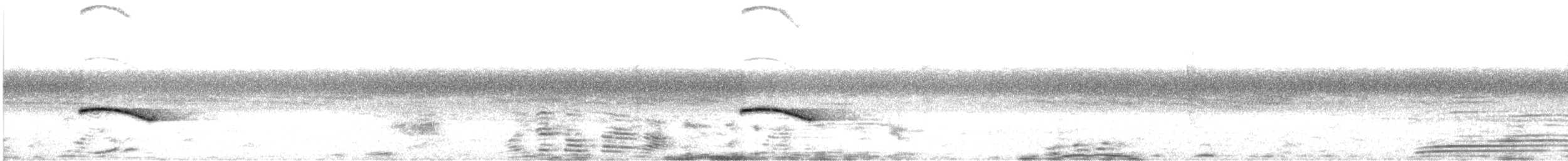 Long-billed Wren-Babbler - ML613341797
