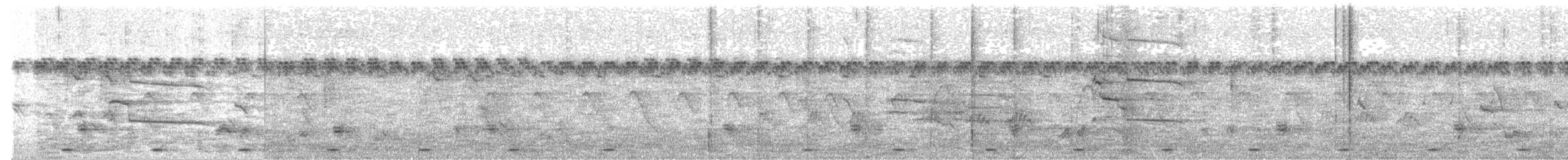 Indian Gray Hornbill - ML613345693